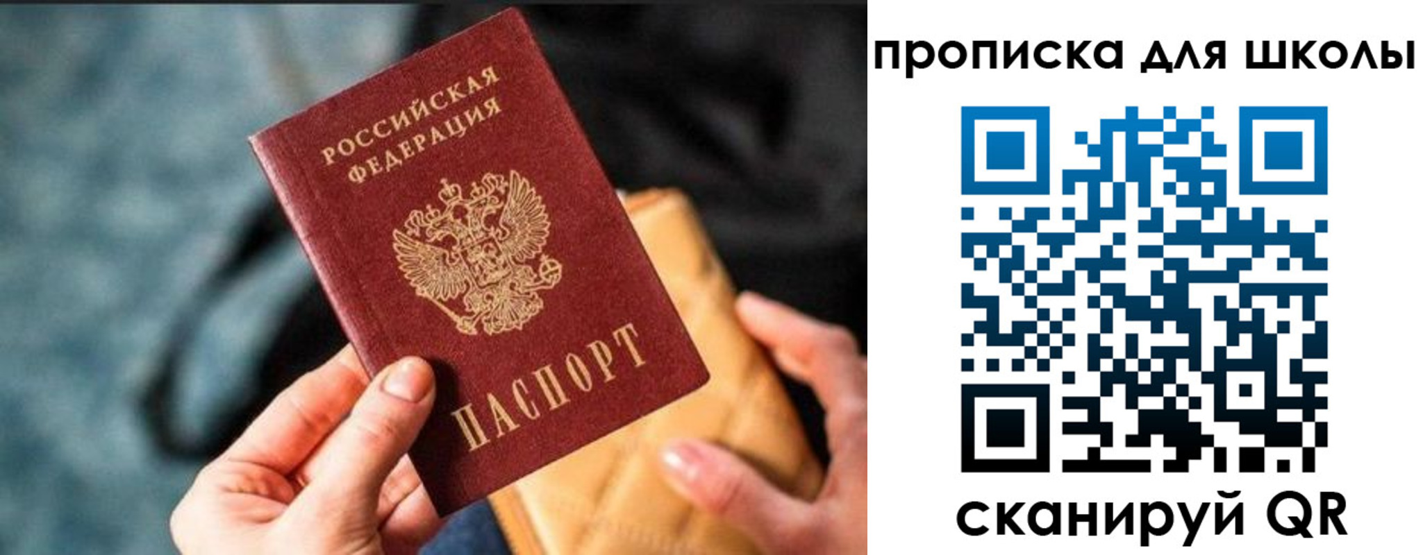 пропишу в квартире в Калининграде